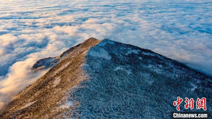 圖為朱雀國(guó)家森林公園內(nèi)初冬雪景?！≈烊竾?guó)家森林公園供圖