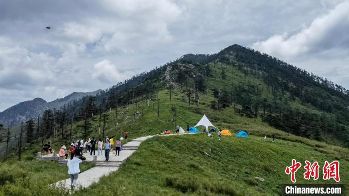 圖為游人在秦嶺山間踏青?！≈烊竾?guó)家森林公園供圖