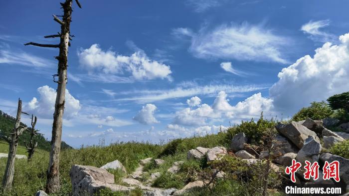 圖為秦嶺山間一景?！≈烊竾?guó)家森林公園供圖
