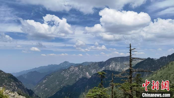 圖為綿延的秦嶺山巒?！≈烊竾?guó)家森林公園供圖